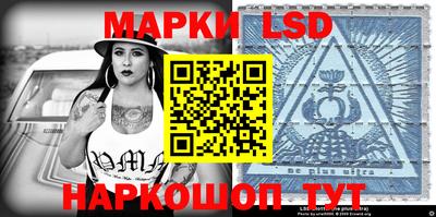 СК Новозыбков