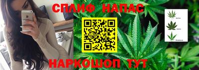СК Новозыбков