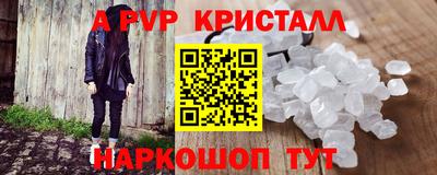 СК Новозыбков