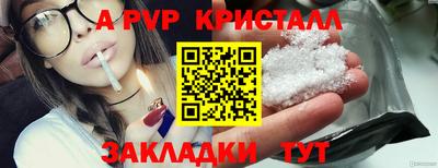 СК Новозыбков