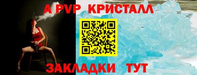 СК Новозыбков