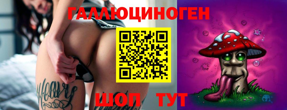 Советская Гавань  магазин продажи наркотиков  Вход с VPN  Галлюциногенные грибы Cubensis 